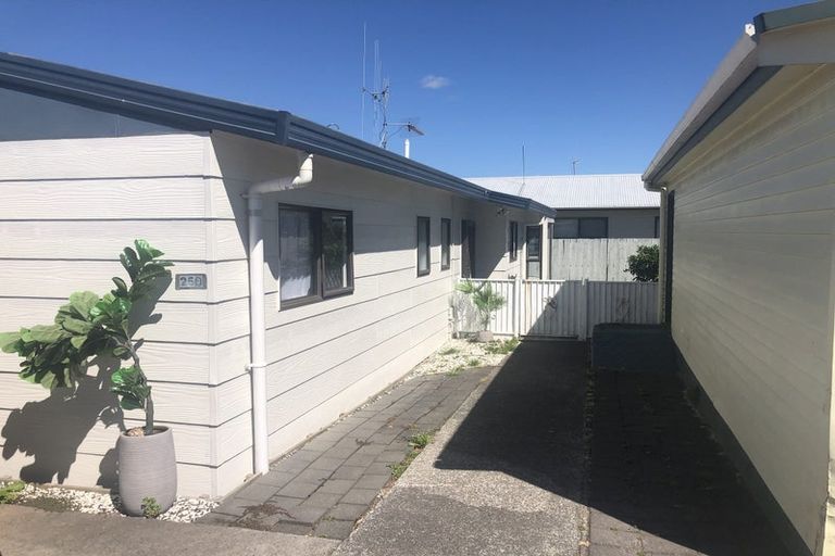 Photo of property in 25b Hayes Avenue, Gate Pa, Tauranga, 3112