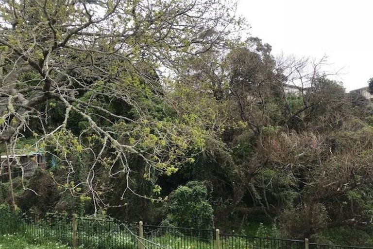 Photo of property in 132 Lancaster Road, Beach Haven, Auckland, 0626