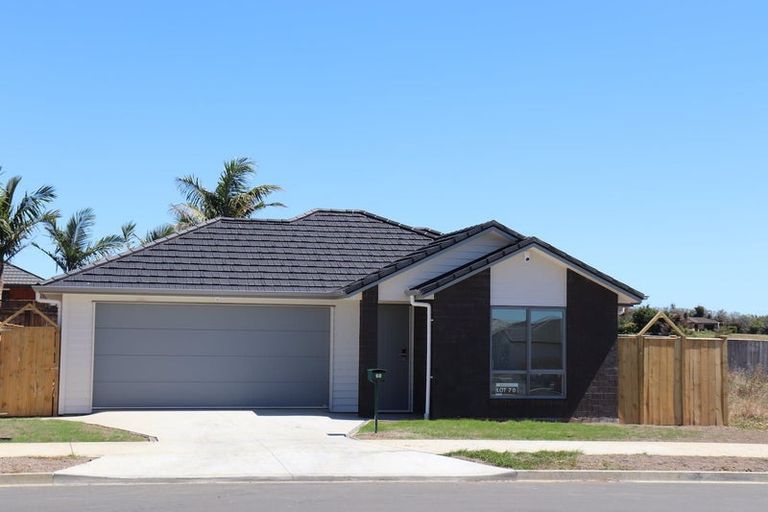 Photo of property in 35 Taepu Road, Pukekohe, 2120