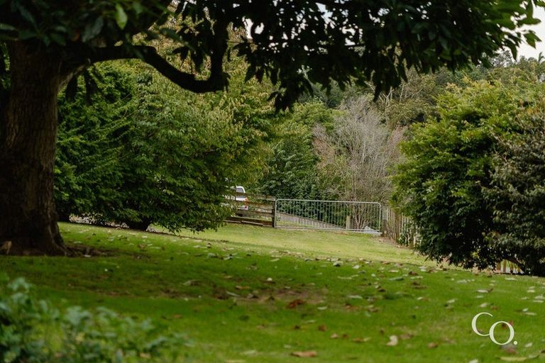 Photo of property in 47 Bell Street, Judea, Tauranga, 3110