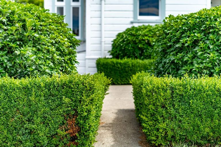 Photo of property in 231 Masterton Castlepoint Road, Te Ore Ore, Masterton, 5886