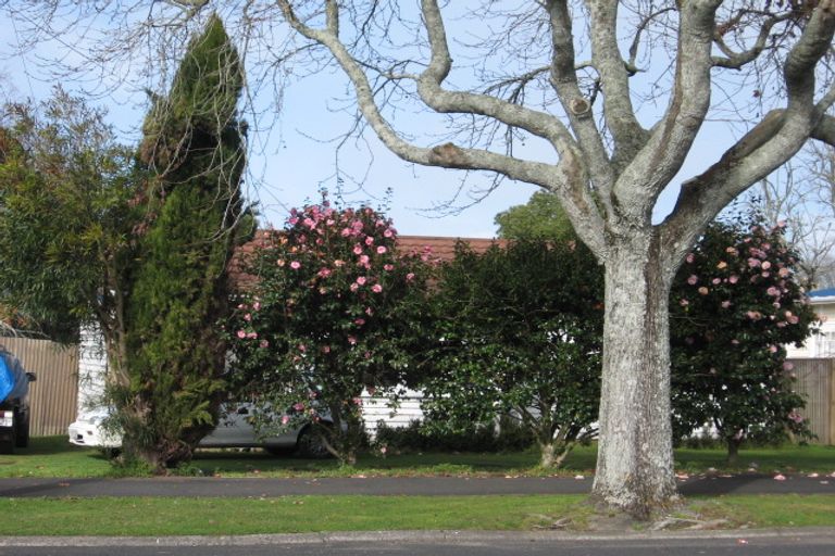 Photo of property in 8 Wilson Street, Hamilton East, Hamilton, 3216