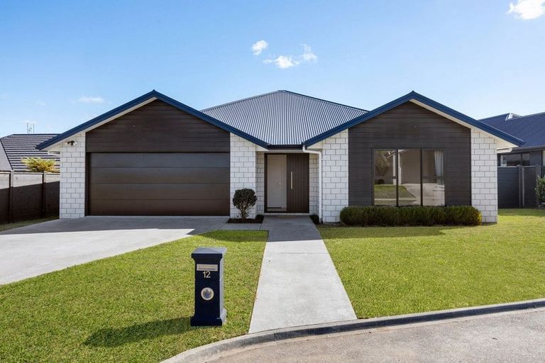 Photo of property in 12 Lewis Way, Cambridge, 3434