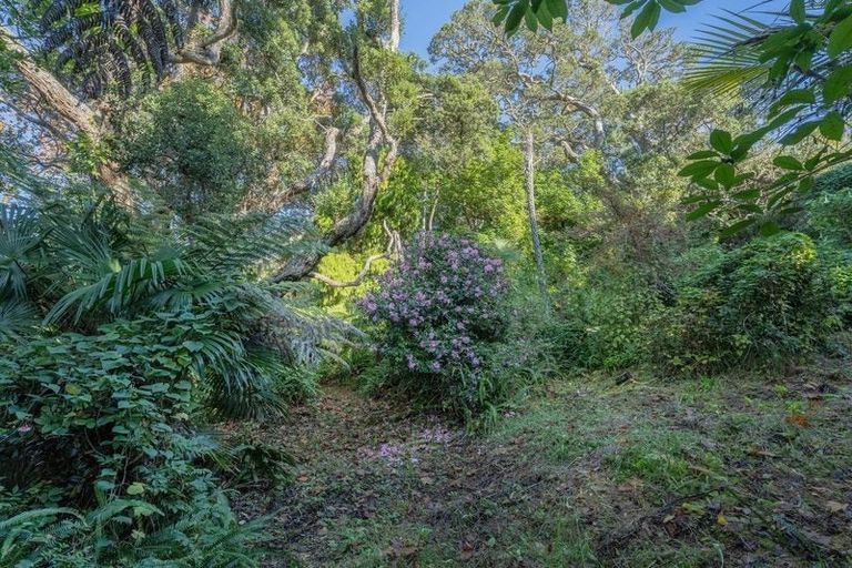 Photo of property in 113 Main Sh25 Road, Tairua, 3508