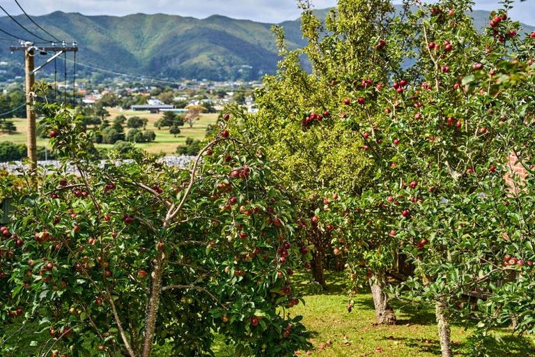 Photo of property in 19 Palm Grove, Belmont, Lower Hutt, 5010