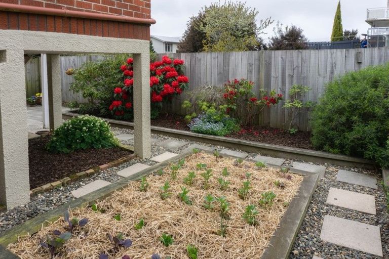 Photo of property in 55 Elgin Road, Mornington, Dunedin, 9011