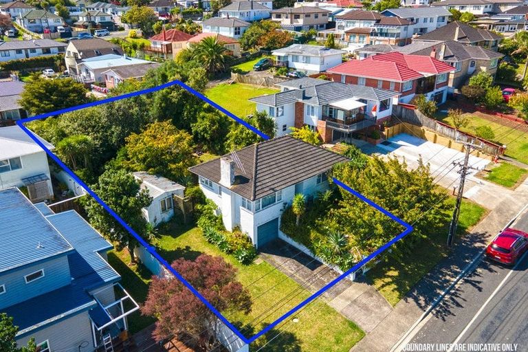 Photo of property in 48 Rogan Street, Mount Roskill, Auckland, 1041