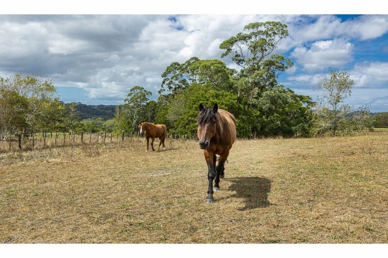 Photo of property in 51 Drinnan Road, Waitoki, Kaukapakapa, 0871