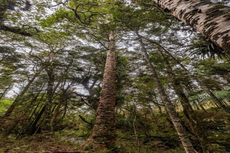 Photo of property in 1106 Puketotara Road, Okaihau, 0295