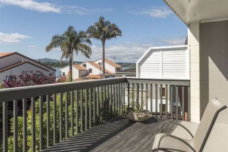 Photo of property in 39c Scantlebury Street, Tauranga South, Tauranga, 3112