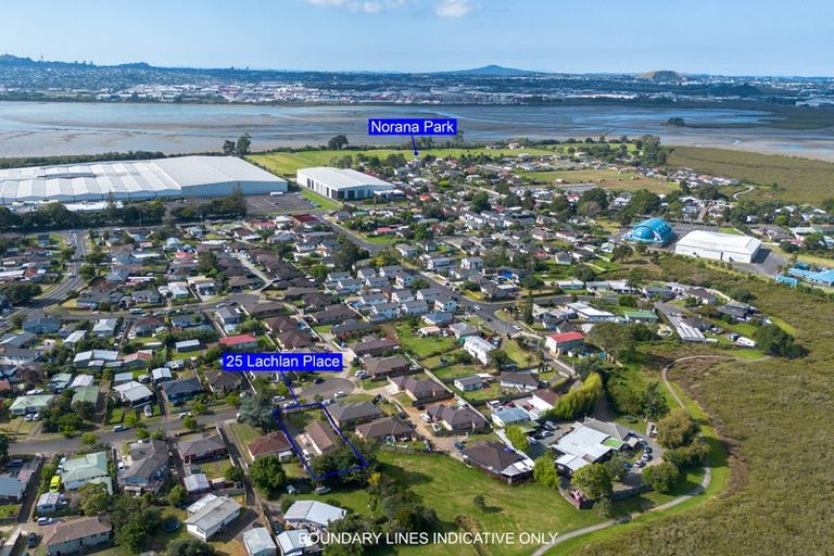 Photo of property in 25 Lachlan Place, Favona, Auckland, 2024
