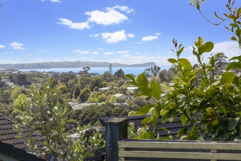 Photo of property in 36 Lingham Crescent, Torbay, Auckland, 0630