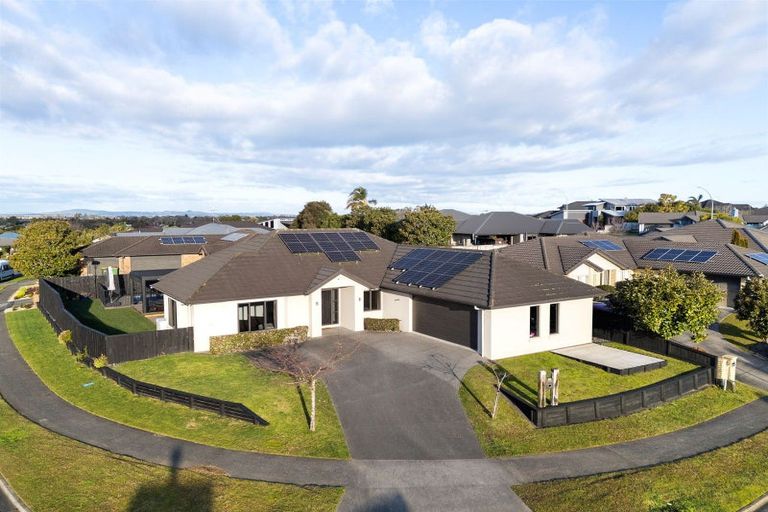 Photo of property in 6 Santiago Place, Flagstaff, Hamilton, 3210