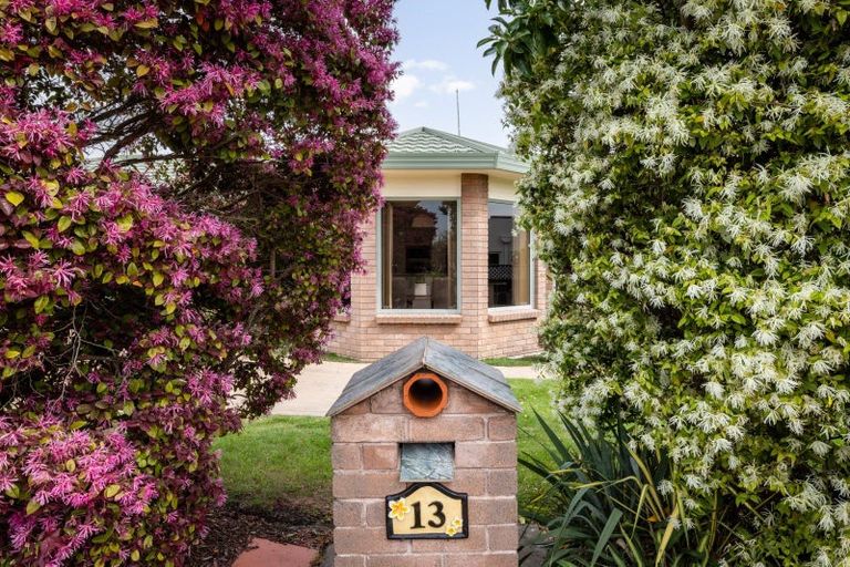 Photo of property in 13 Arcadia Lane, Havelock North, 4130