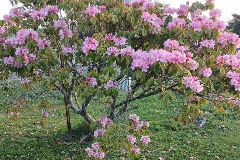 Photo of property in 6534 Matawai Road, Matawai, 4075