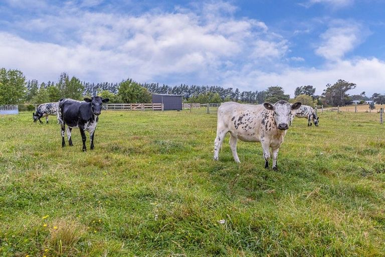 Photo of property in 168 Pembertons Road, Sefton, Rangiora, 7477