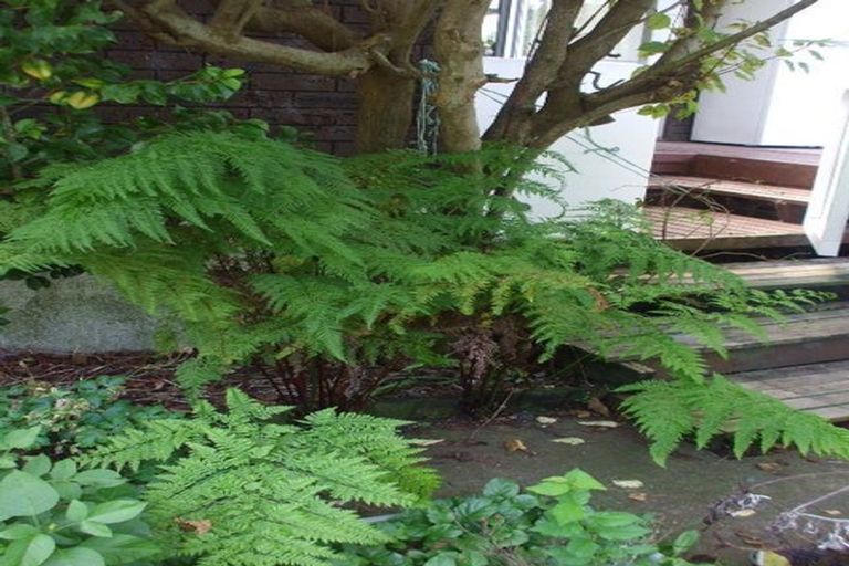 Photo of property in 24 Mary Street, Te Kuiti, 3910