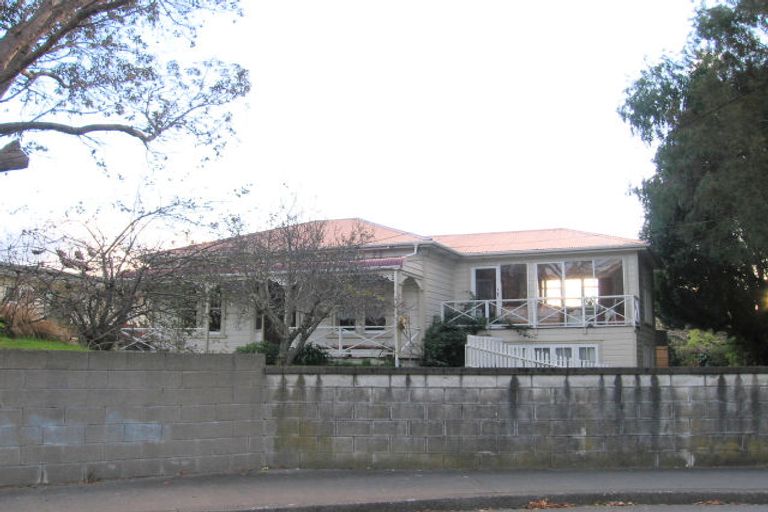 Photo of property in 99 Amohia Street, Paraparaumu, 5032