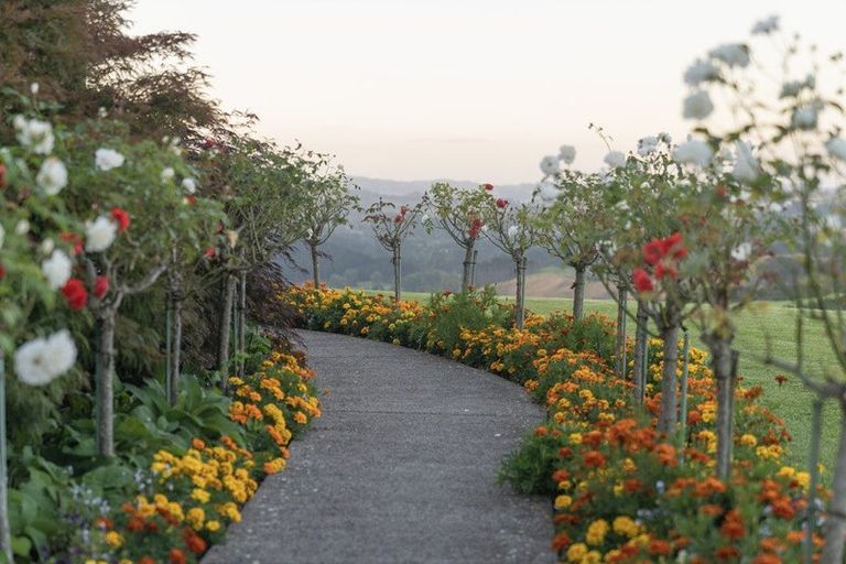 Photo of property in 50b Paul Road, Whenuakite, Whitianga, 3591