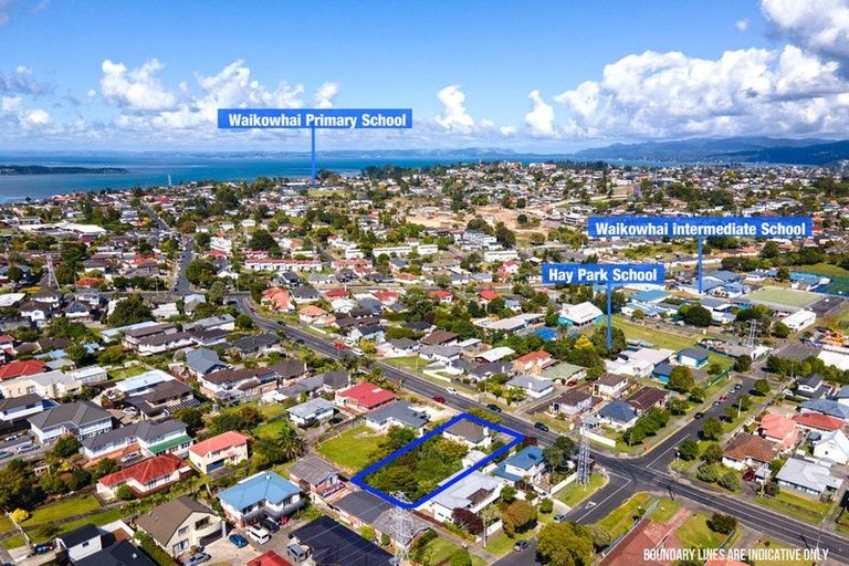 Photo of property in 48 Rogan Street, Mount Roskill, Auckland, 1041
