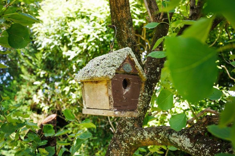 Photo of property in 1498 Napier Road, Ashhurst, 4810