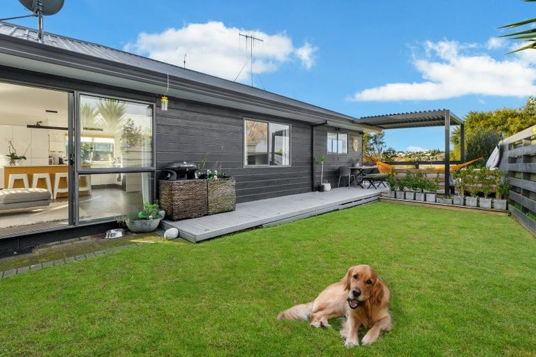 Photo of property in 10a College Place, Poike, Tauranga, 3112