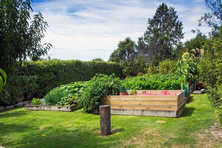 Photo of property in 306 Downs Road, Geraldine Downs, Geraldine, 7991