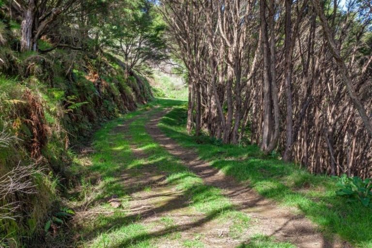 Photo of property in 327 Taneatua Road, Taneatua, Whakatane, 3191