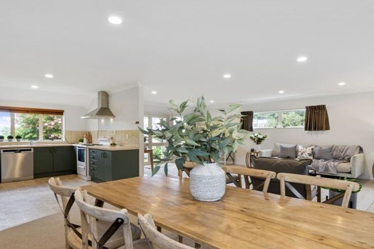 Photo of property in 15 Paine Street, Judea, Tauranga, 3110