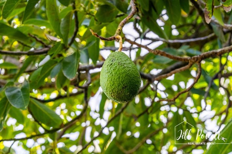 Photo of property in 13 Moana Road, Tinopai, 0593