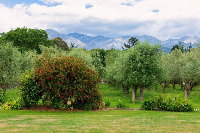 Photo of property in 31 Hapuku Road, Hapuku, Kaikoura, 7371