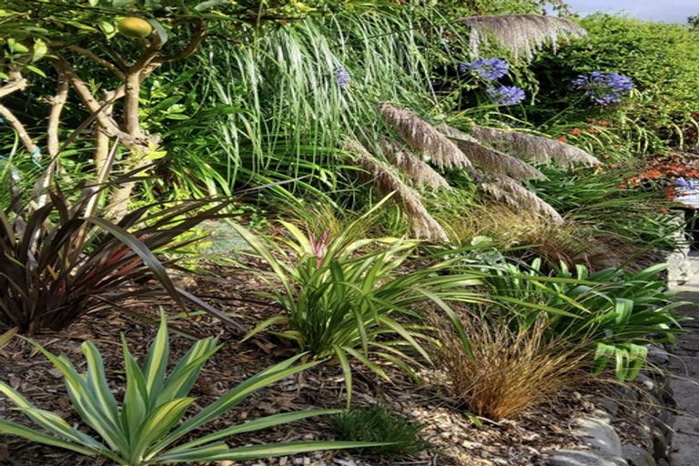 Photo of property in 74 Mana Esplanade, Paremata, Porirua, 5026