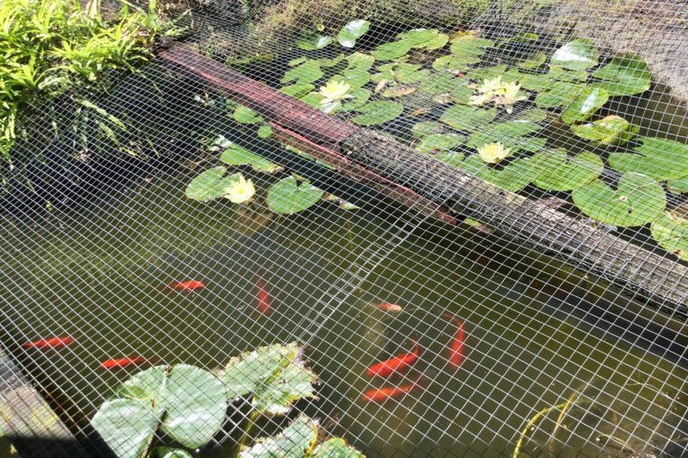 Photo of property in 104 Hays Place, Thames, 3500