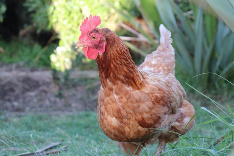 Photo of property in 23 Percy Kinsman Crescent, Riverstone Terraces, Upper Hutt, 5018