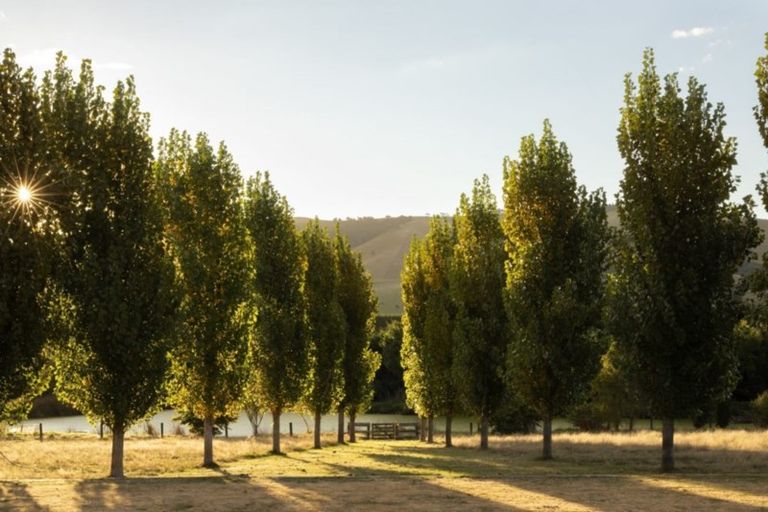 Photo of property in 918 Ponatahi Road, Martinborough, Carterton, 5792