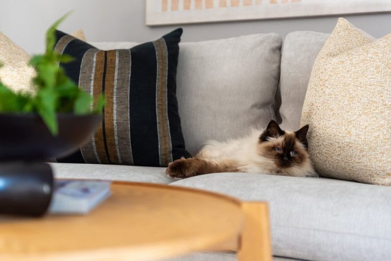 Photo of property in 1/5 Nelson Avenue, Northcote Point, Auckland, 0627