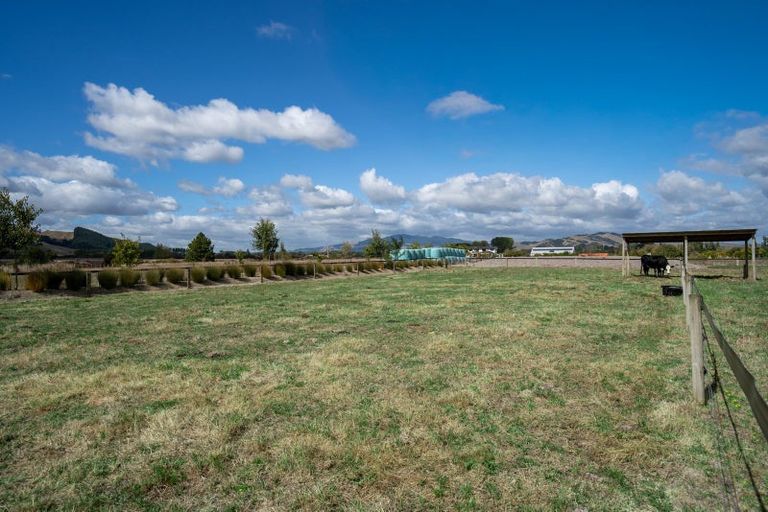 Photo of property in 3/182 French Pass Road, Cambridge, 3496