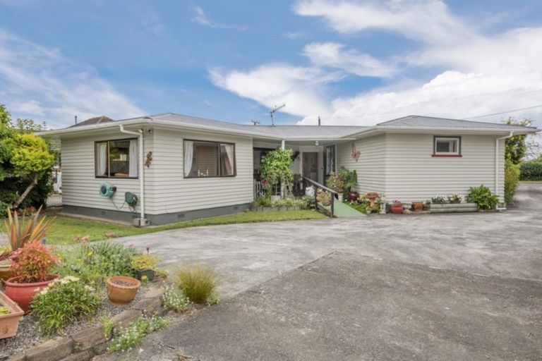 Photo of property in 158 Winchester Street, Levin, 5510