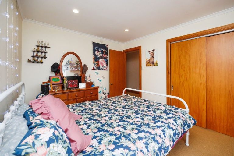 Photo of property in 221 The Terrace, Ashhurst, 4810