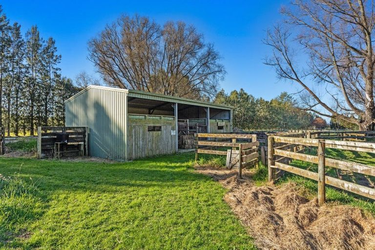 Photo of property in 1165 Braemar Road, Rotoma, Whakatane, 3192