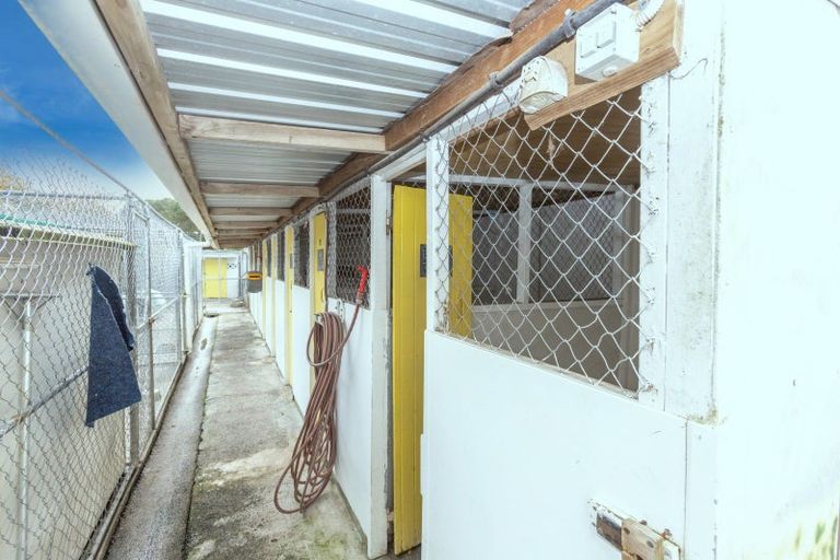 Photo of property in 721 State Highway 25, Waitakaruru, Thames, 3576