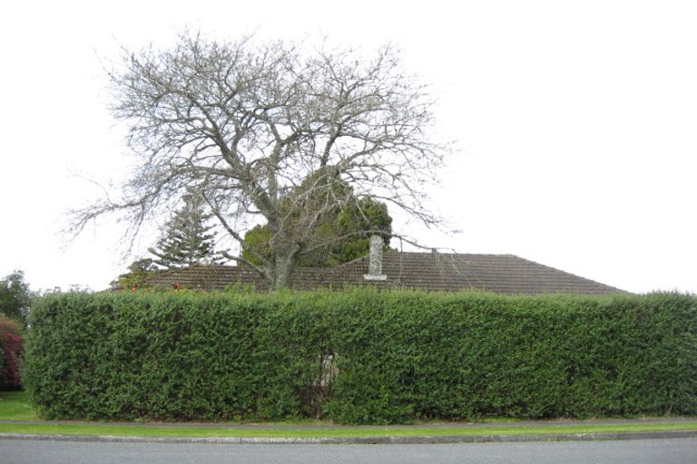 Photo of property in 29 Kahikatea Street, Inglewood, 4330