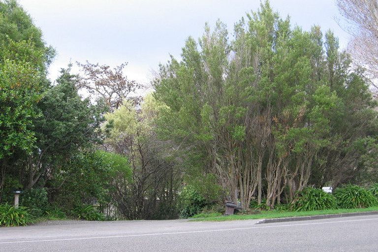 Photo of property in 484 College Street, Hokowhitu, Palmerston North, 4410