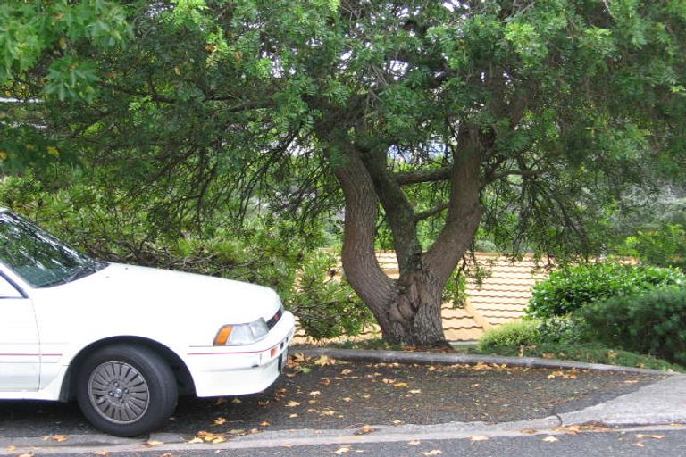 Photo of property in 91 Park Rise, Campbells Bay, Auckland, 0630