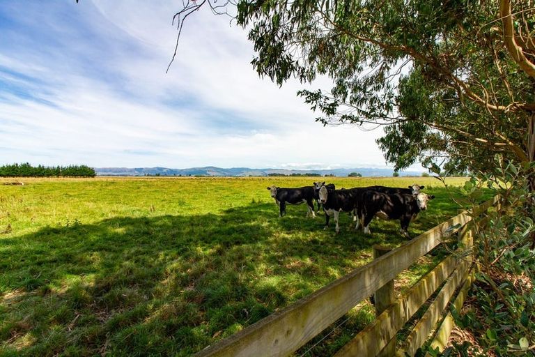 Photo of property in 281 Hoihere Road, Tiakitahuna, Palmerston North, 4477