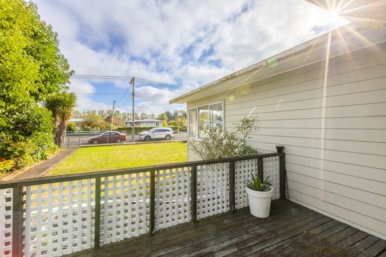 Photo of property in 38 Francis Drake Street, Waipukurau, 4200