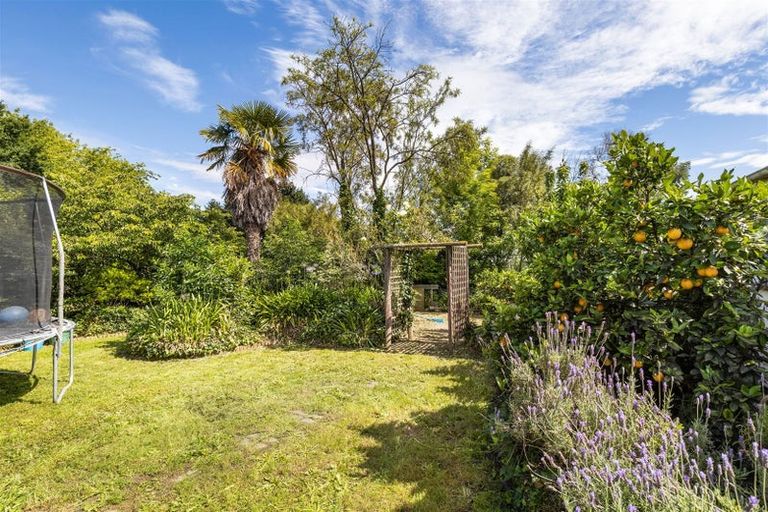 Photo of property in 32 Leitrim Street, Redwoodtown, Blenheim, 7201