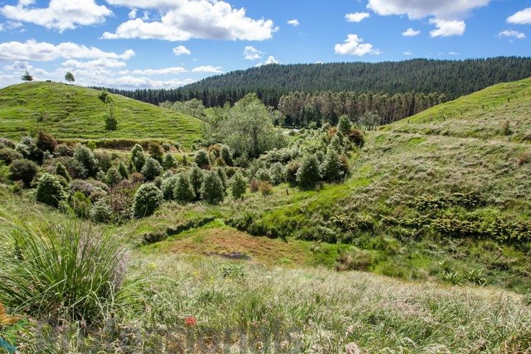 Photo of property in 1377e Manawahe Road, Manawahe, Whakatane, 3194