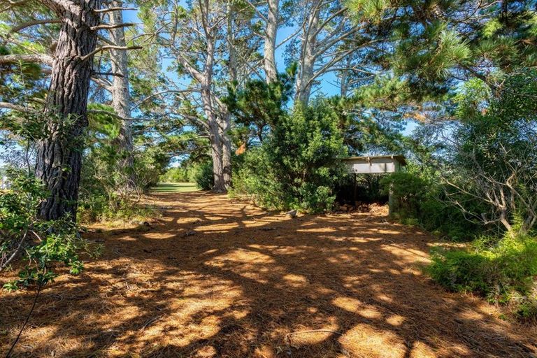 Photo of property in 86 Molesworth Drive, Mangawhai, 0505