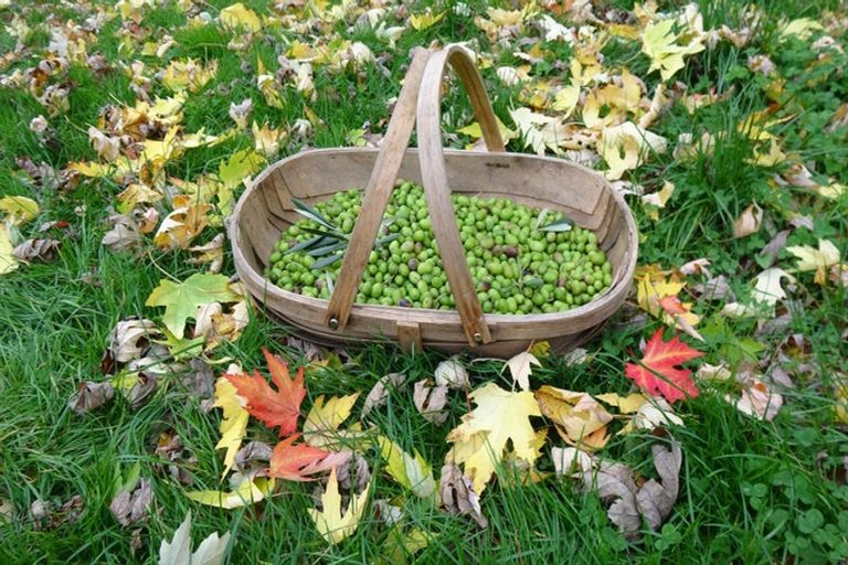 Photo of property in 46 Ruapapa Road, Frasertown, Wairoa, 4195